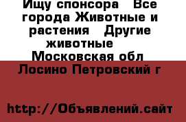 Ищу спонсора - Все города Животные и растения » Другие животные   . Московская обл.,Лосино-Петровский г.